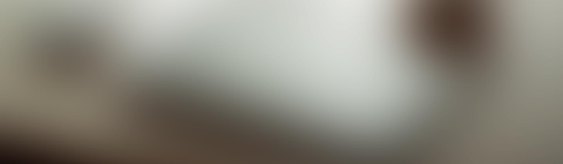 So Why LiveUpTime?